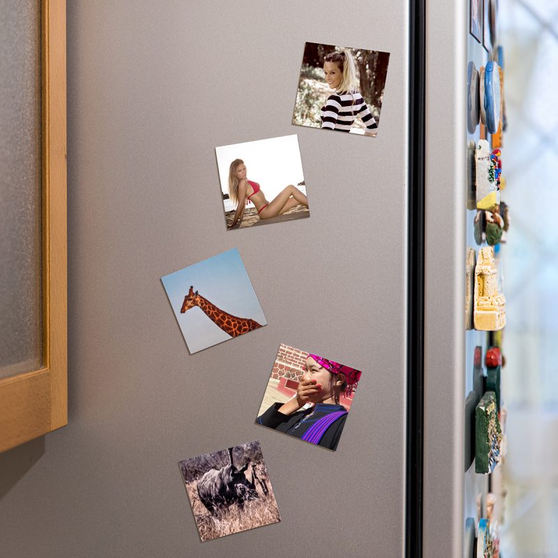 Calamite fotografiche frigo