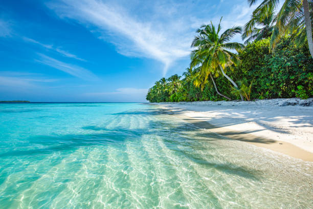 Come scattare foto perfette al mare in pieno sole