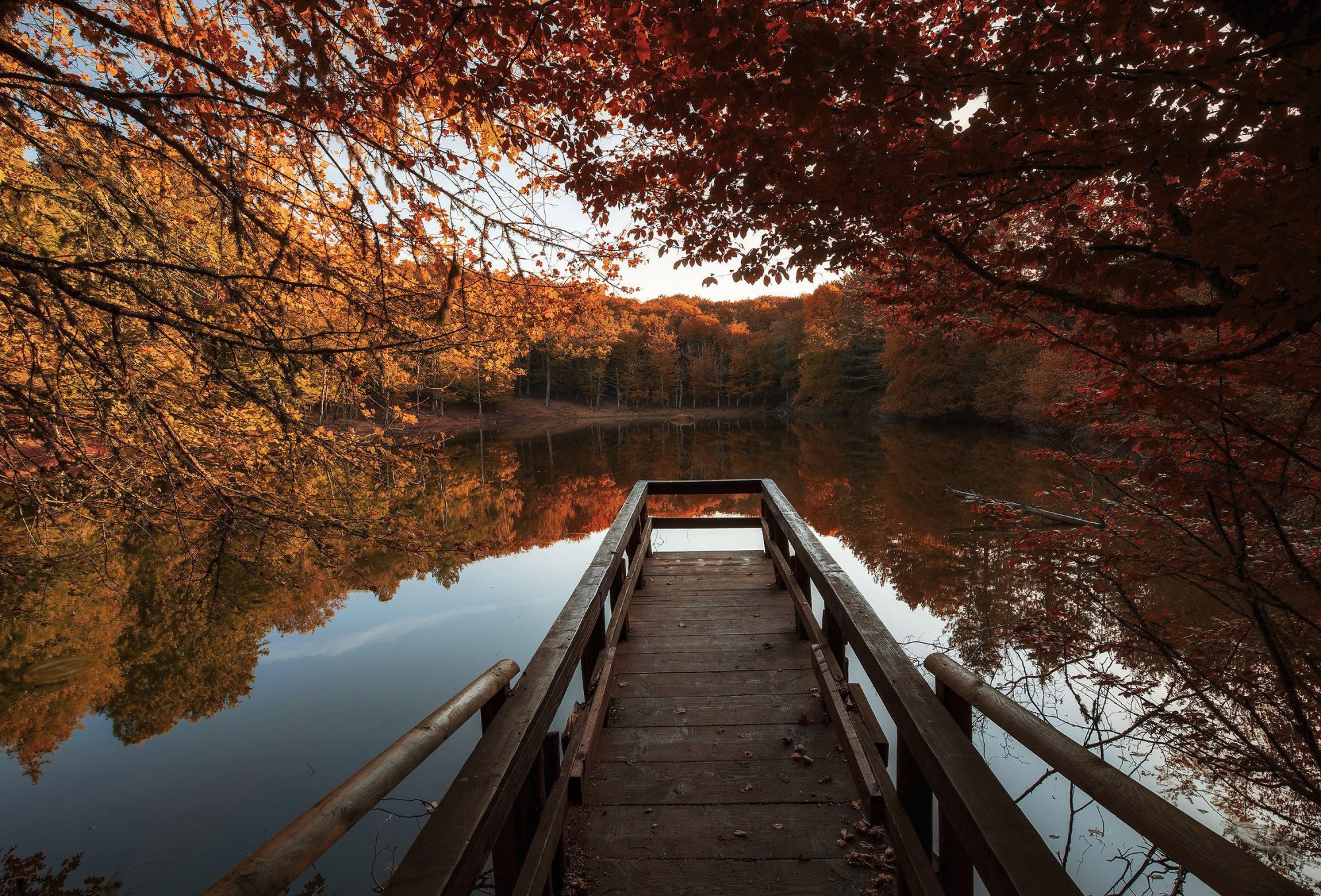 I migliori luoghi in Italia per fotografare l’autunno: un viaggio tra i colori