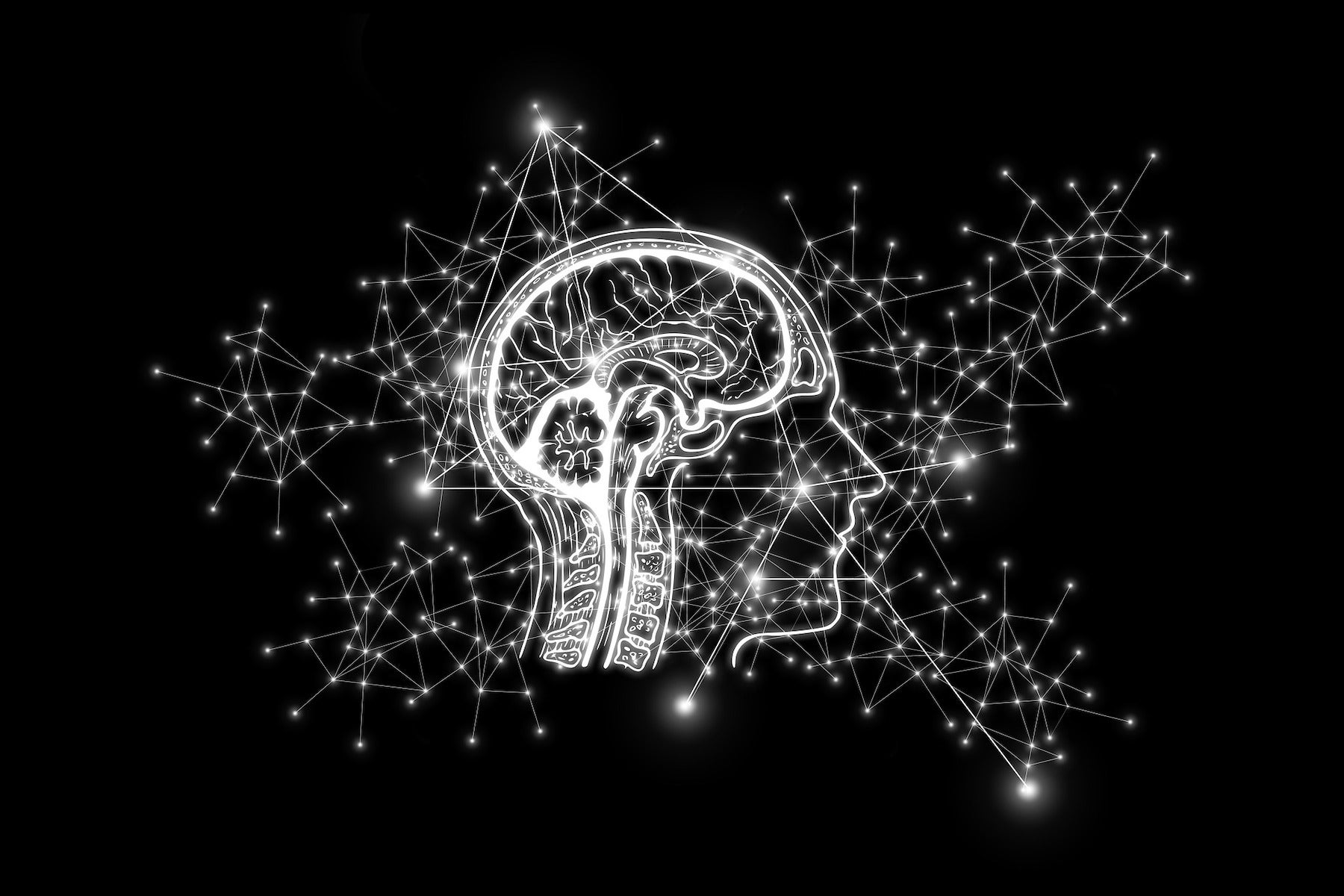Il futuro della fotografia: intelligenza artificiale e metaverso
