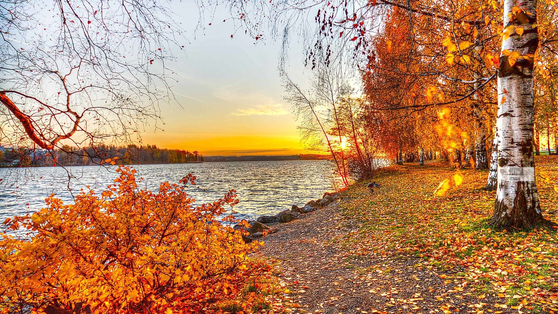Filtri per la fotografia autunnale: esalta i colori dell’autunno