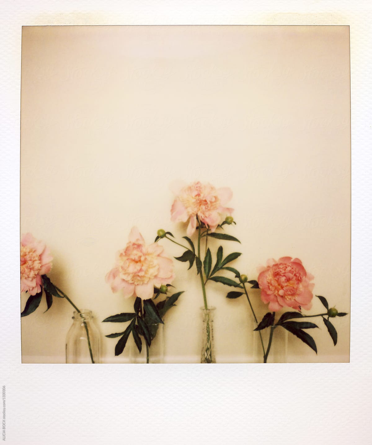L’Eterna Magia dell’Istantanea all’Aria Aperta: Consigli per Foto Polaroid Perfette